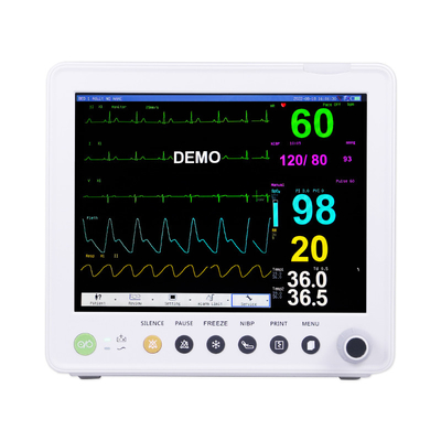 ETCO2 ECG NIBP SPO2 호흡 임시 PR의 매개 변수와 가지고 다닐 수 있는 환자 모니터