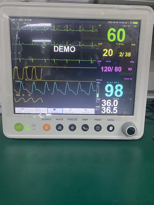 ETCO2 ECG NIBP SPO2 호흡 임시 PR의 매개 변수와 가지고 다닐 수 있는 환자 모니터